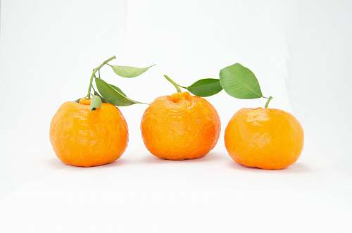 citrus fruit three orange fruits fruit
